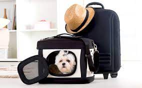 Pet Travel Accessories